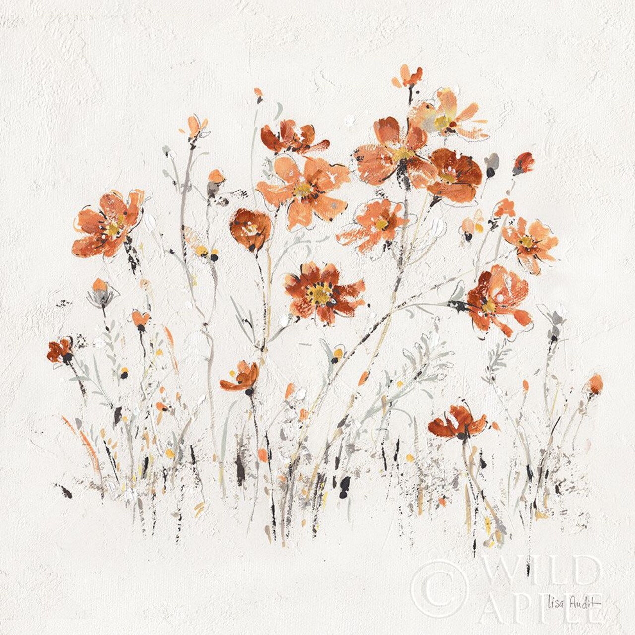 Wildflowers Ii Orange Poster Print by Lisa Audit - Item # VARPDX37429